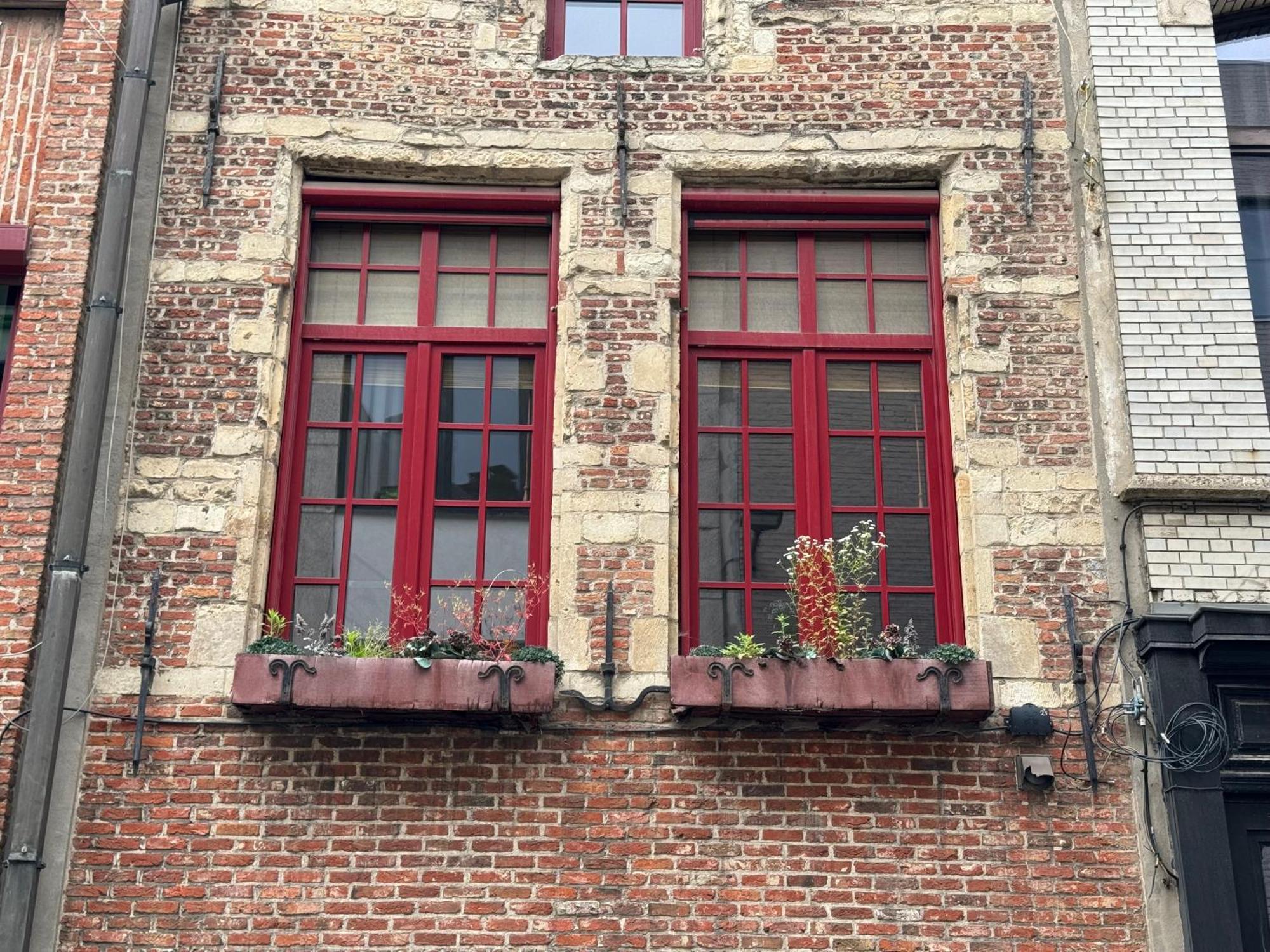 Garden Loft In City Center Meir 1Fl 安特卫普 外观 照片